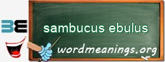 WordMeaning blackboard for sambucus ebulus